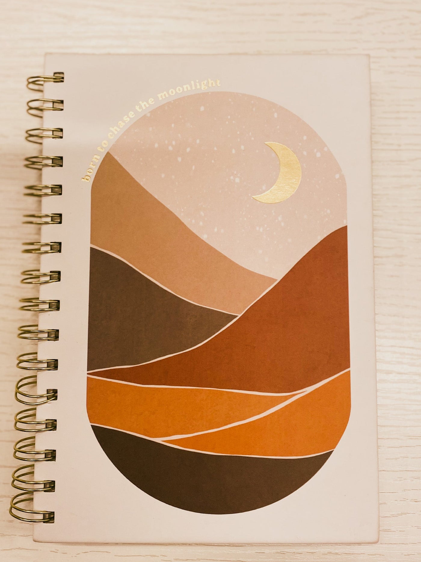 To Chase The Moonlight Journal/Notebook